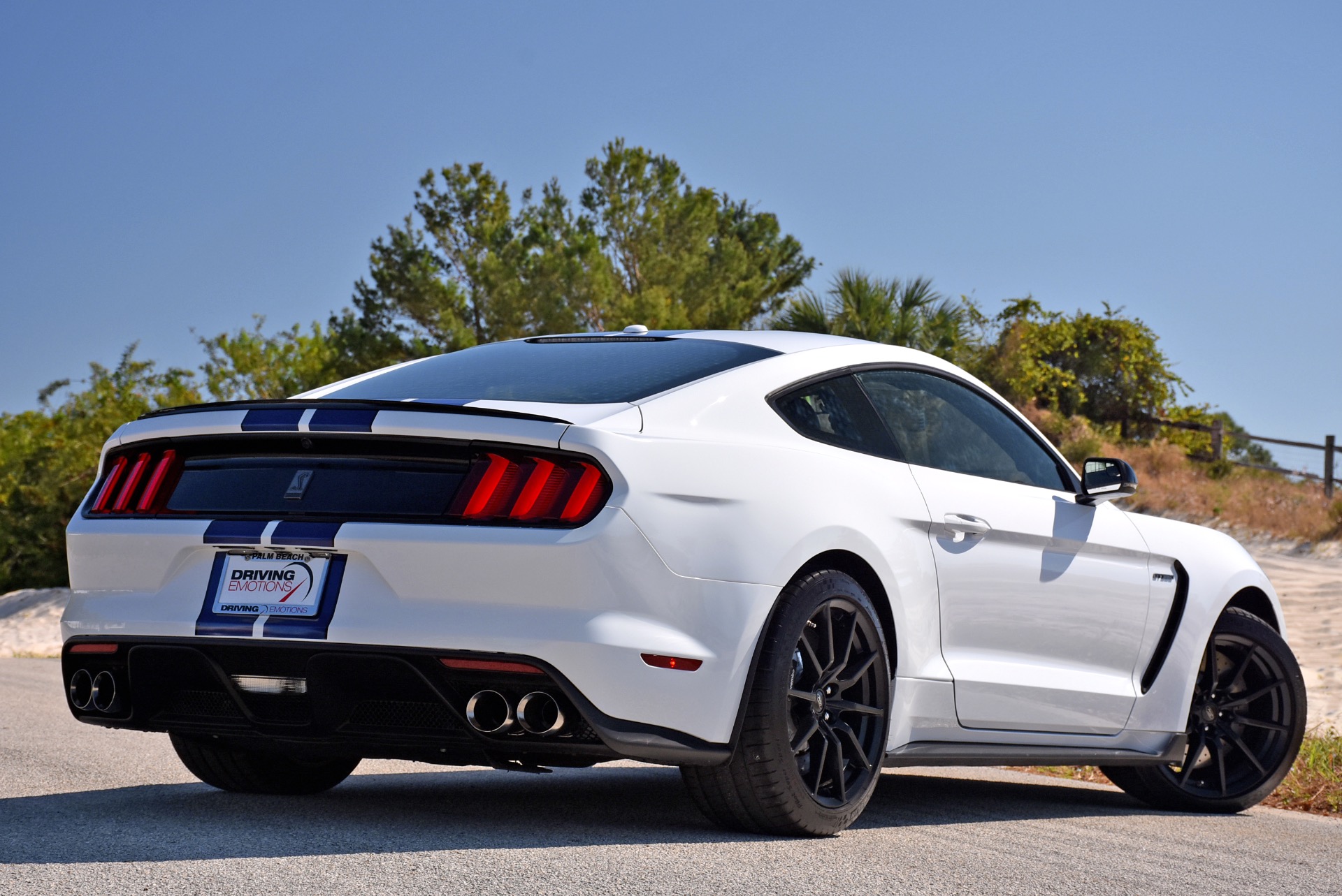 2016 Ford Mustang Shelby Gt350 Shelby Gt350 Stock # 5911 For Sale Near 