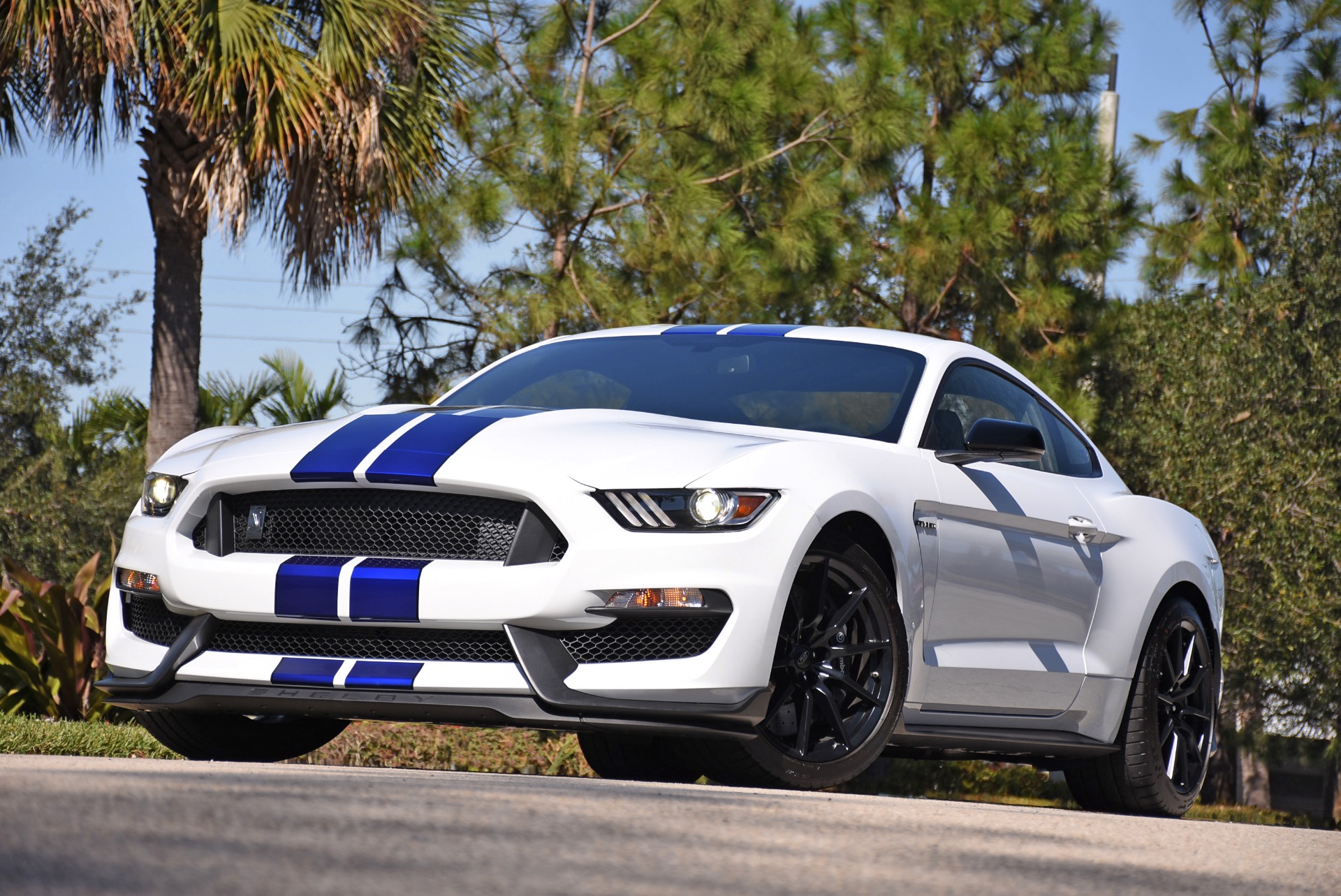 2016 Ford Mustang Shelby GT350 Shelby GT350 Stock # 5911 for sale near ...