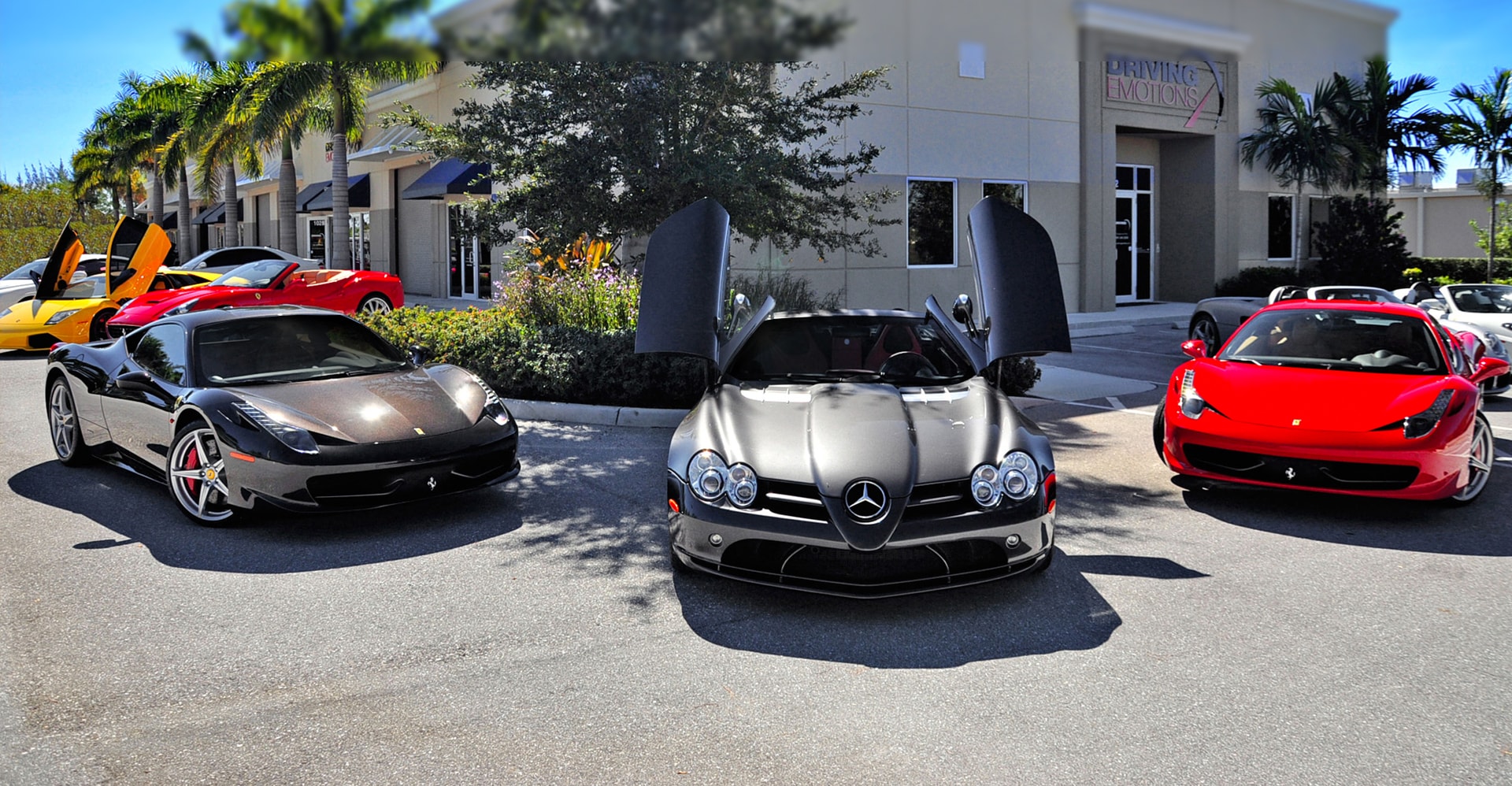 Driving Emotions - Palm Beach, FL | Exotic & Luxury Car Dealership